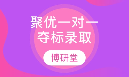 聚优一对一夺标录取课程