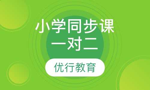 小学各科同步辅导课程一对二