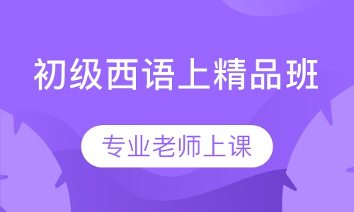 初级西语上精品班（A1.1）