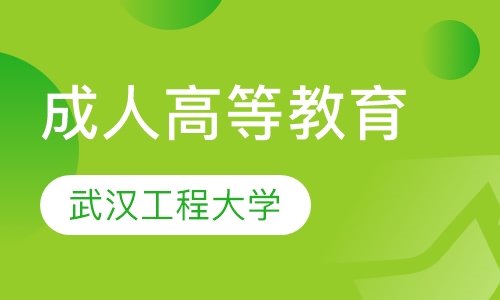 成人高等教育