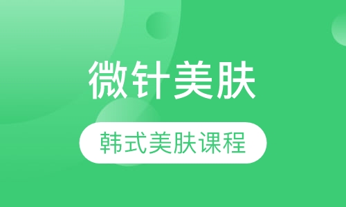 韩式微针美肤课程