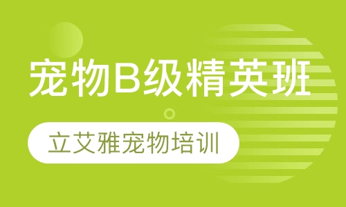 宠物B级精英班