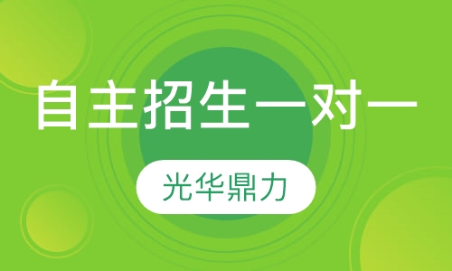 自主招生一对一