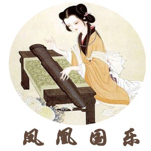 深圳凤凰国乐琴行