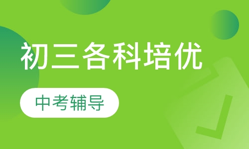 2021中考精讲培优