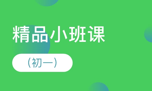精品小班课（初一）