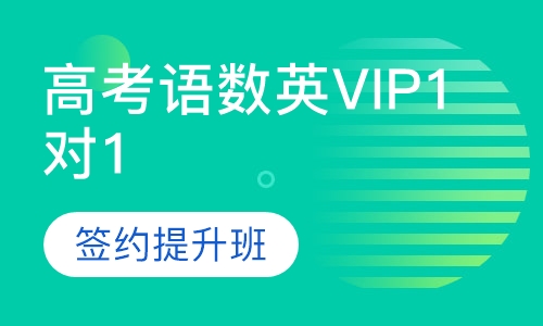 VIP1对1签约提升班