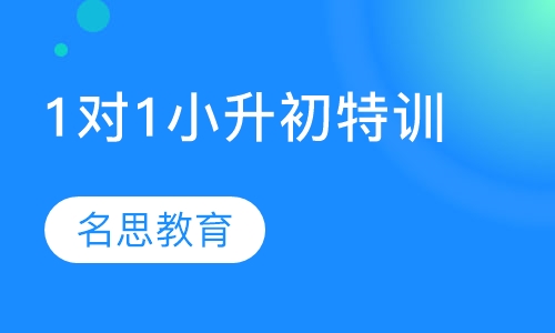 1对1小升初特训
