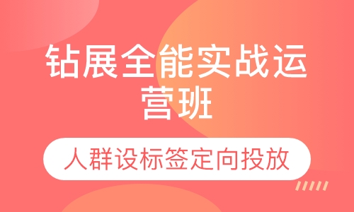 钻展全能实战运营班
