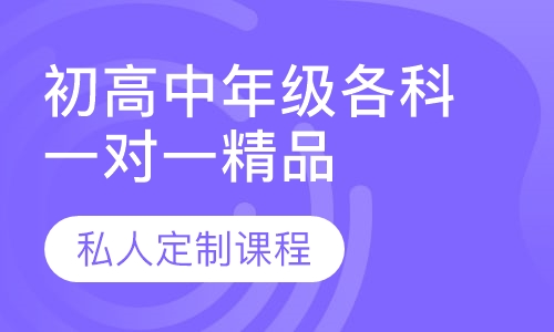 初高中年级各科一对一精品班