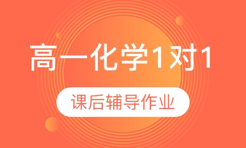 高一化学1对1辅导