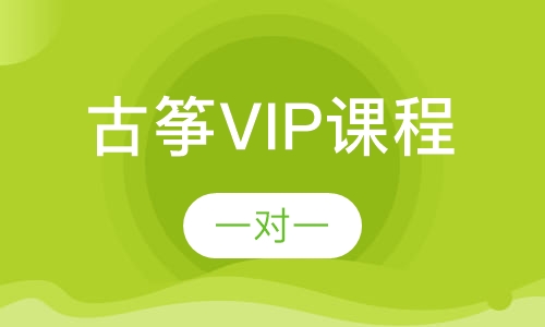 古筝VIP课程一对一