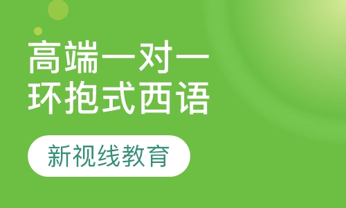 高端VIP一对一环抱式西语课程