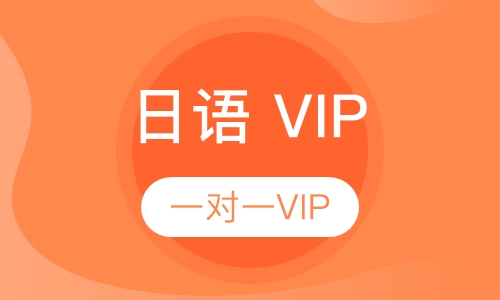 一对一VIP