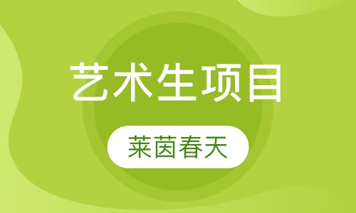 艺术生项目