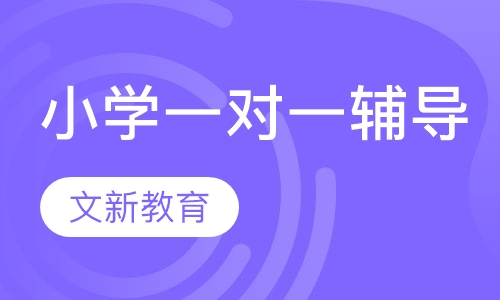 小学一对一辅导
