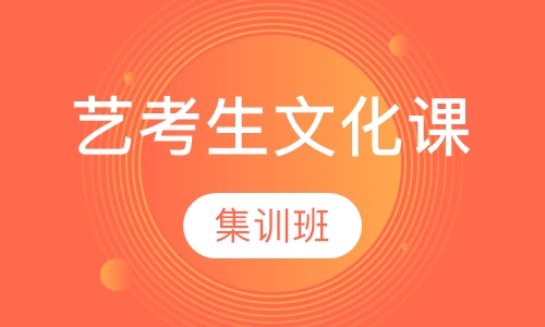 艺考生文化课集训班