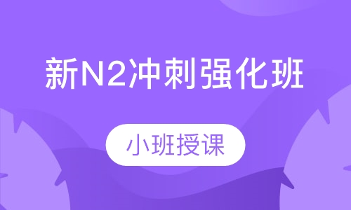 新N2冲刺强化班