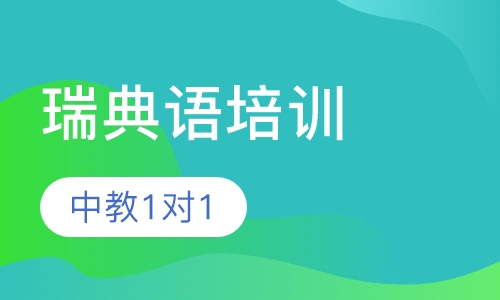 瑞典语中教1对1培训课程
