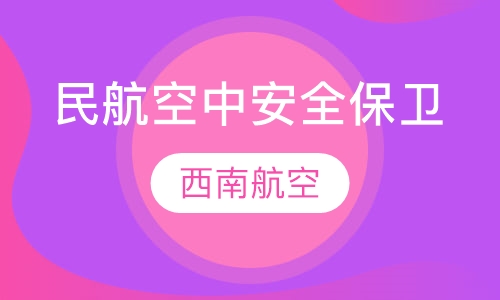 民航空中安全保卫