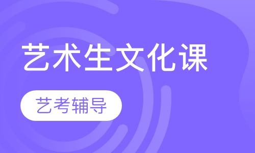艺术生文化课