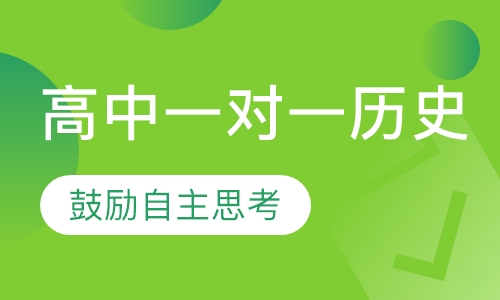 高中一对一历史辅导