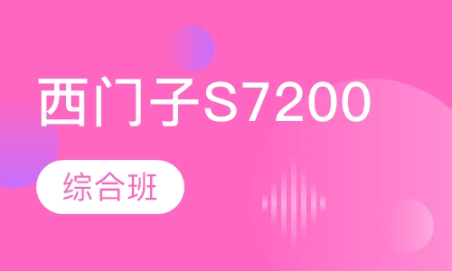 西门子S7200/smart综合班