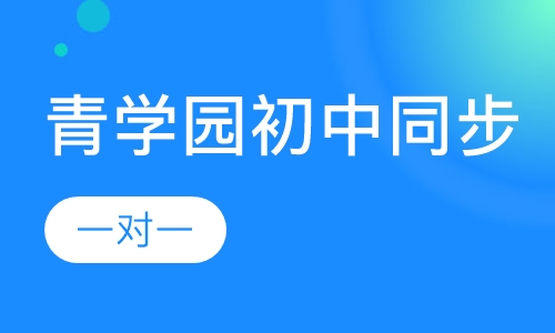 （青学园初中同步）一对一