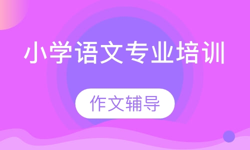 小学语文专业培训