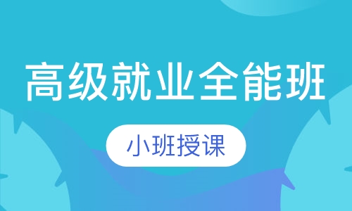 高级就业全能班