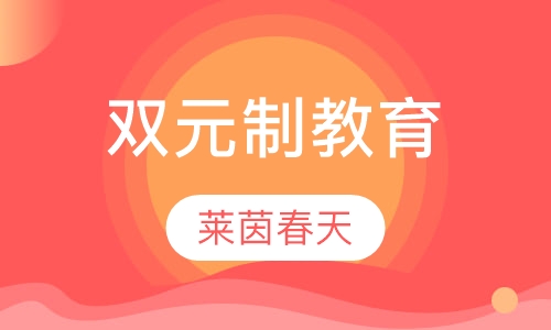双元制教育
