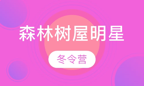 森林树屋明星冬令营