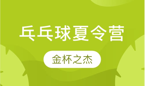 乓乓球夏令营