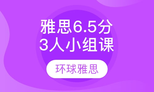 雅思 6.5分 3人小组课