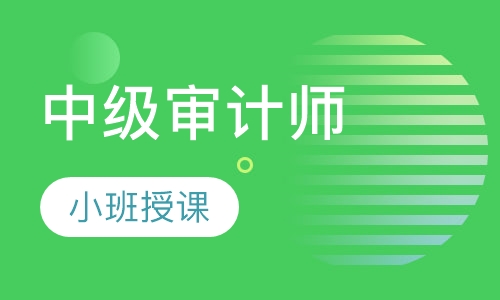 中级审计师