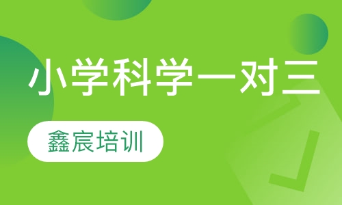 小学科学一对三