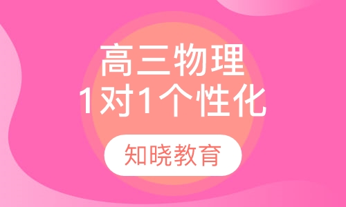 高中三年级物理 1对1个性化辅导