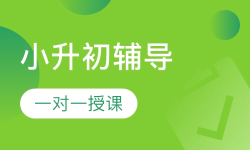 小升初一对一辅导