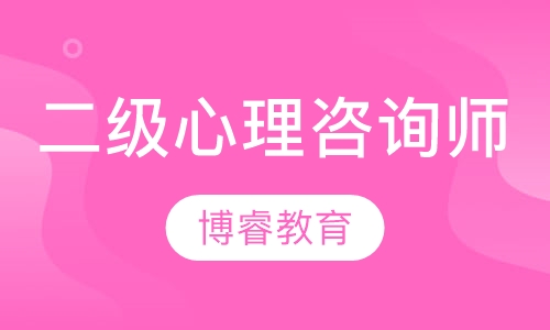 国家二级心理咨询师班