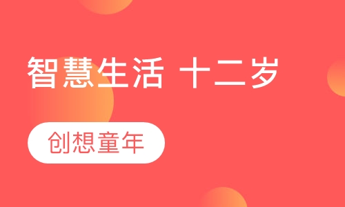智慧生活 十二岁
