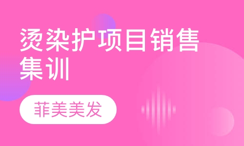 烫染护项目销售集训