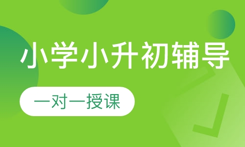 小学一对一小升初辅导