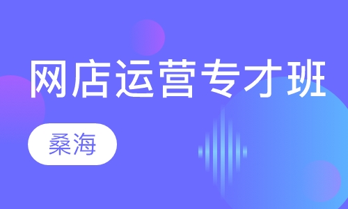 网店运营专才班