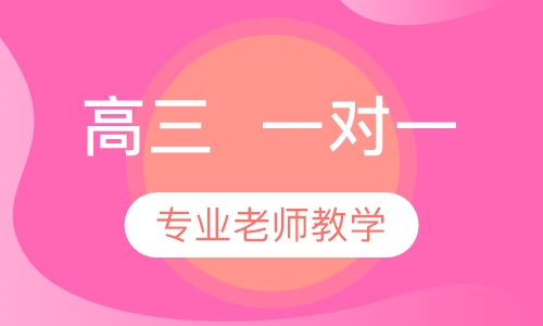 高三  一对一