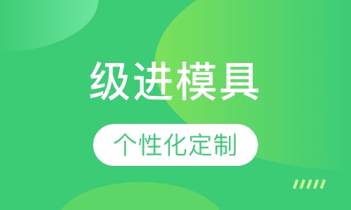 级进模具课程