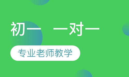 初一  一对一
