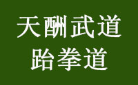 济南天酬武道跆拳道