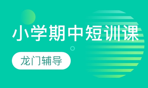 小学期中短训课