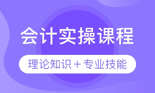 录播课+直播课会计实操课程