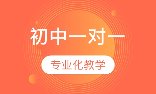 初中一对一辅导